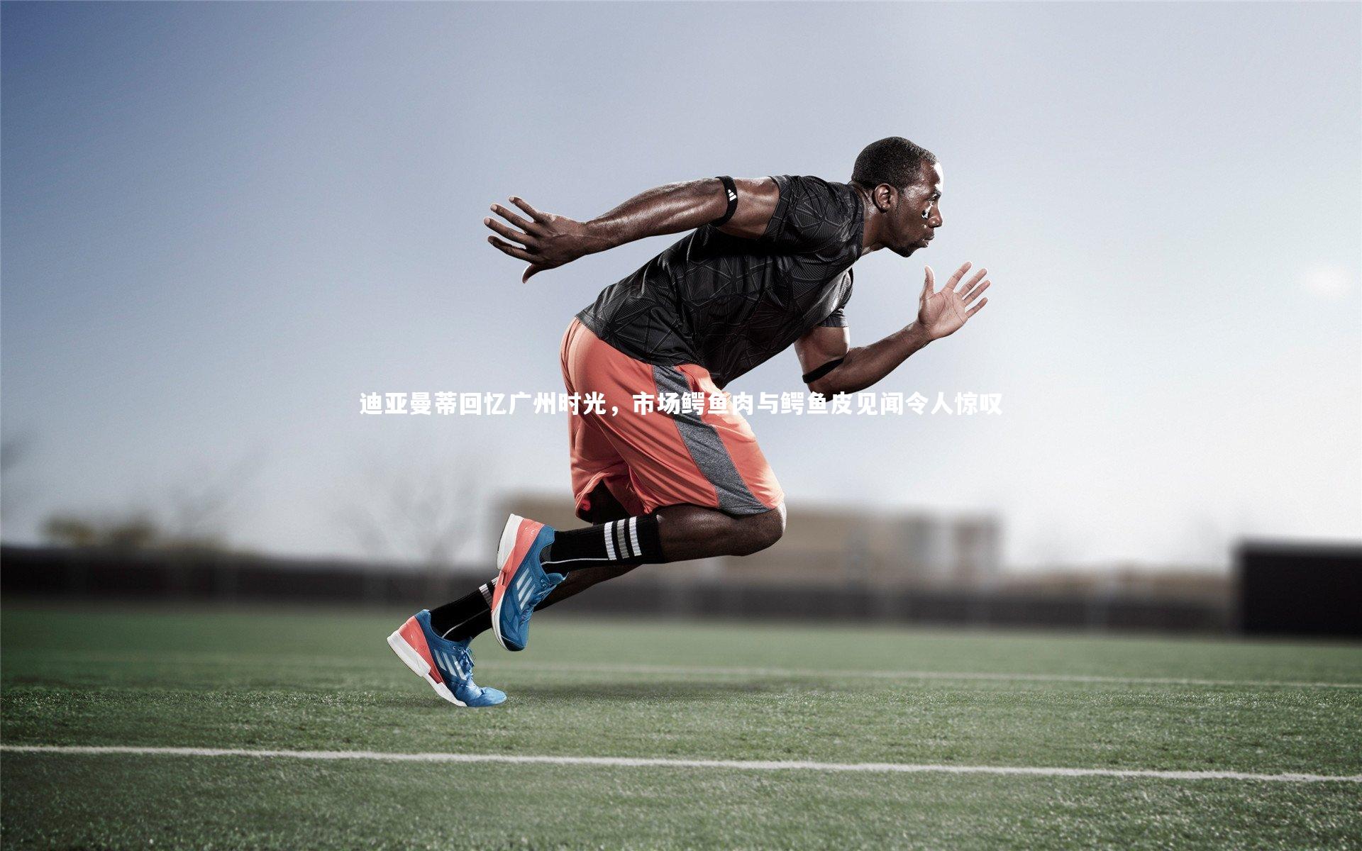 j9九游会官网_迪亚曼蒂回忆广州时光，市场鳄鱼肉与鳄鱼皮见闻令人惊叹