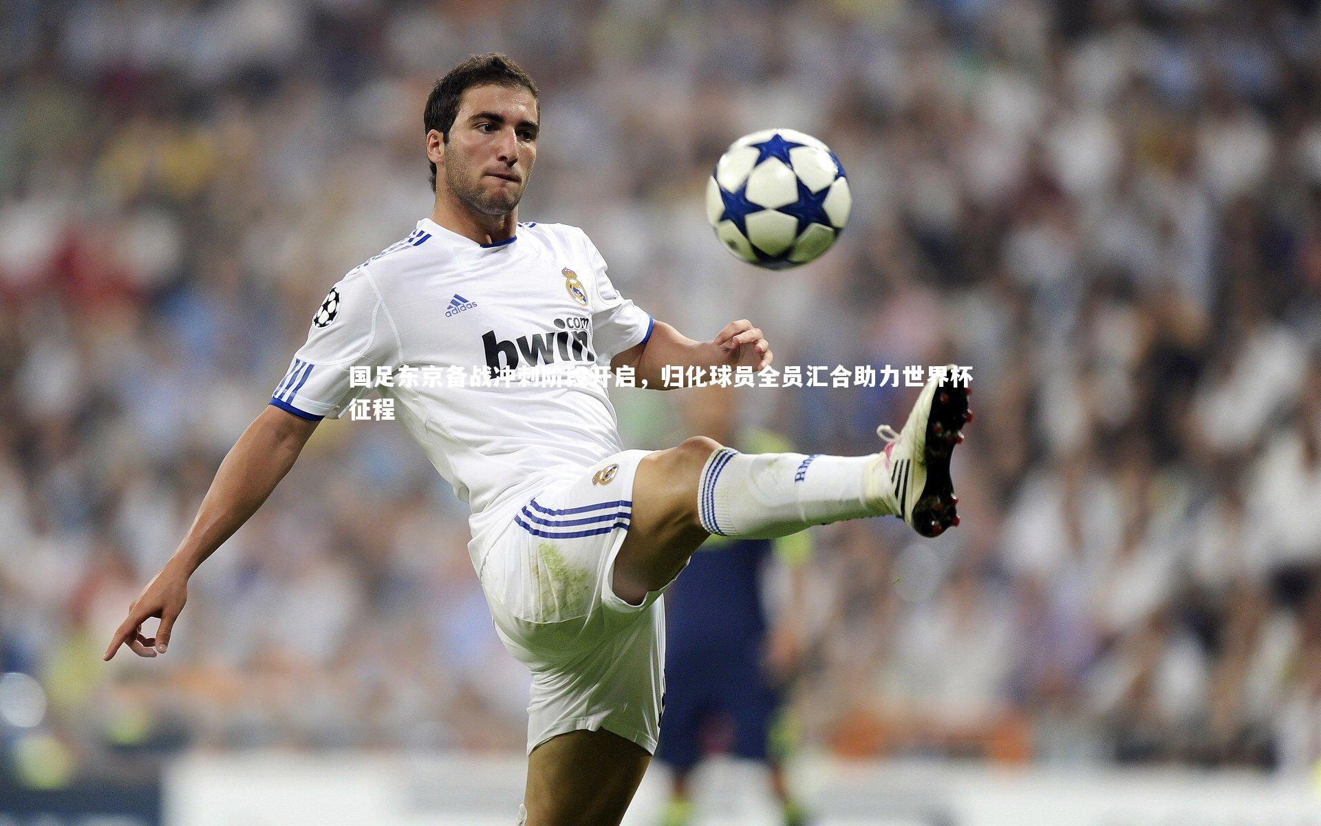 九游会j9|国足东京备战冲刺阶段开启，归化球员全员汇合助力世界杯征程